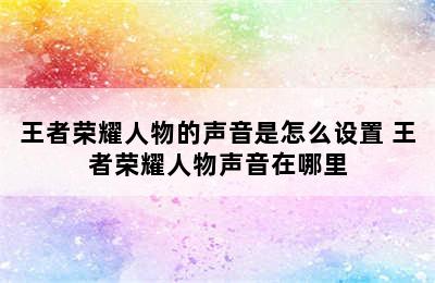 王者荣耀人物的声音是怎么设置 王者荣耀人物声音在哪里